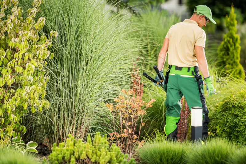Yard Landscaping Service detail
