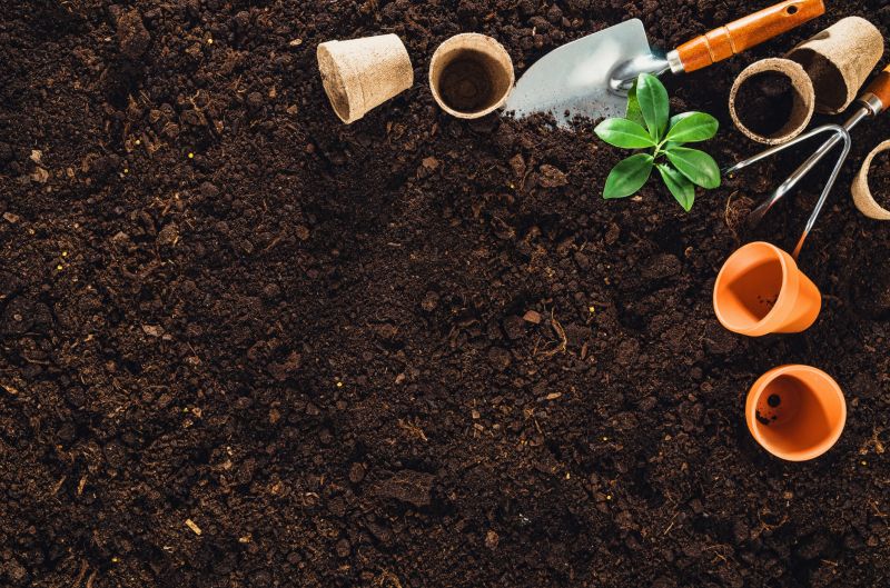 Small Garden Landscaping