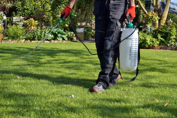 Weed Control Service