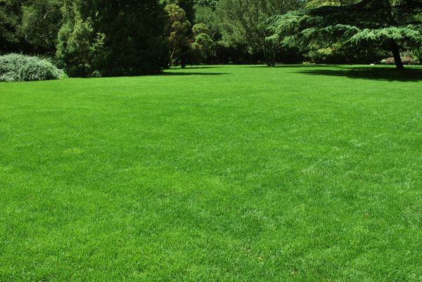 Lawn Landscaping in Bainbridge Island