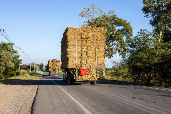 Pine Straw Delivery in Bainbridge Island