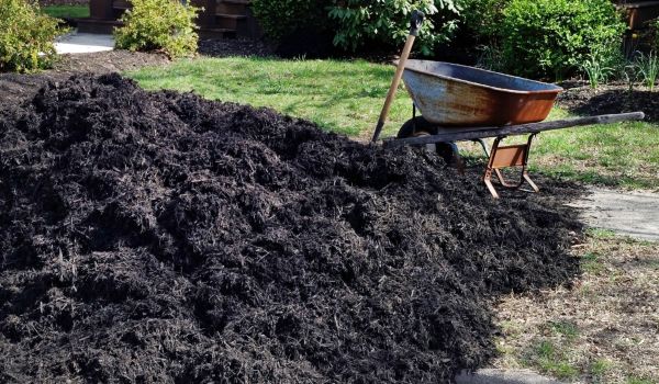 Black Mulch Delivery in Bainbridge Island