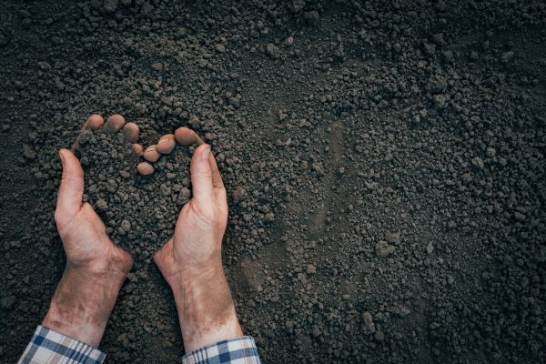 Soil Installation in Bainbridge Island