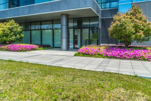 Commercial Gardening in Bainbridge Island