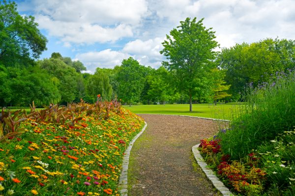 Park Landscaping in Bainbridge Island