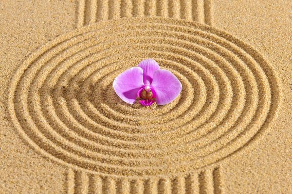 Sand Garden Landscaping in Bainbridge Island
