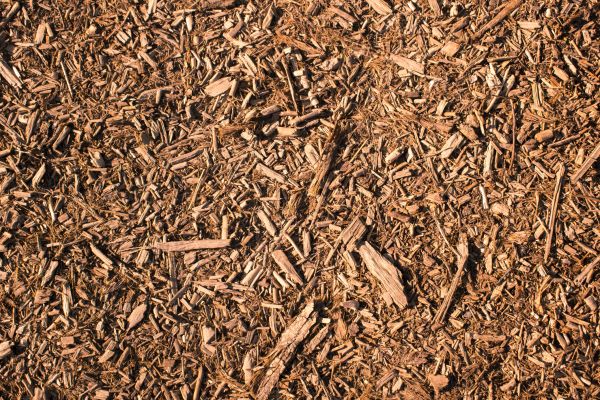 Wood Chips Removal in Bainbridge Island