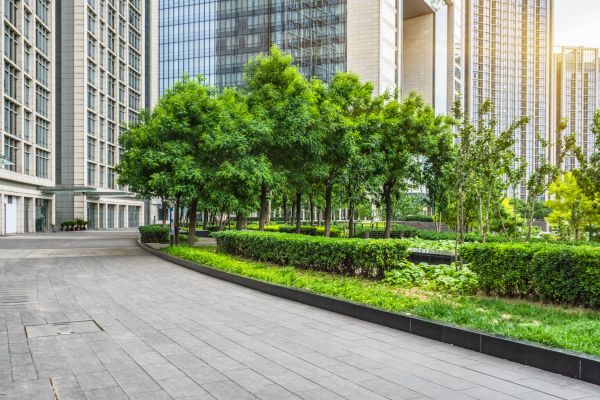 Corporate Landscape Management