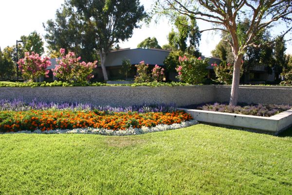 Commercial Landscape Service in Bainbridge Island
