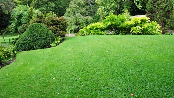 Commercial Landscape Design in Bainbridge Island