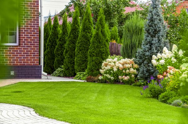 Spring Landscaping in Bainbridge Island