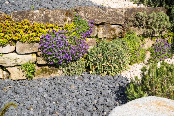 Landscaping Rocks Installation in Bainbridge Island