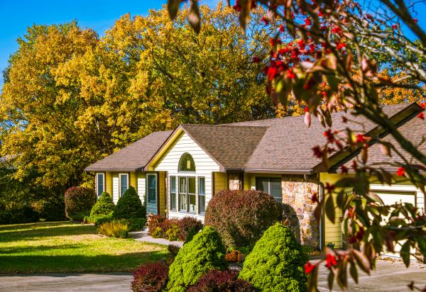 Ranch Landscaping in Bainbridge Island