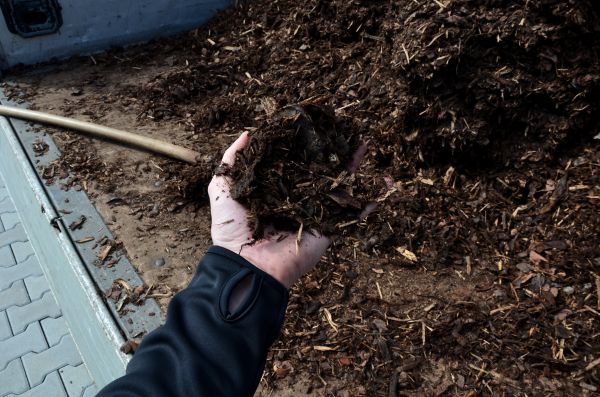 Condo Mulching in Bainbridge Island